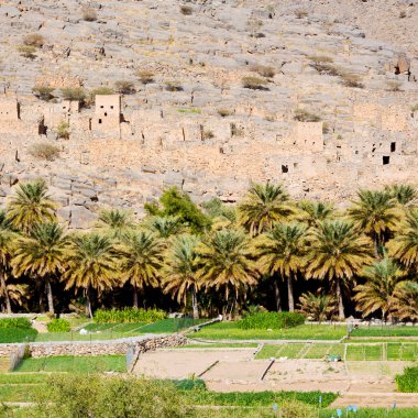 Umman eski dağ gorge  