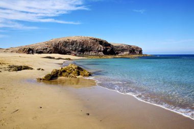 lanzarote suda köpük İspanya rock taş bulut misk  