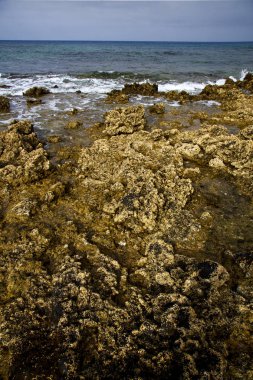  Lanzarote Adası köpük taş gökyüzü plaj su  