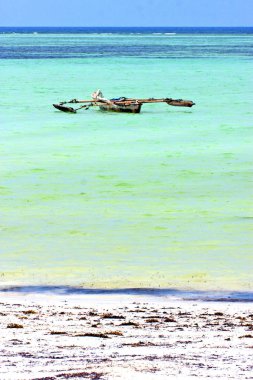 Plaj zanzibar Hint kum Adası gökyüzü ve yelken