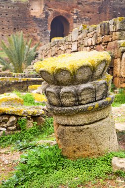 Chellah Fas Afrika eski Roma kötüleşti  