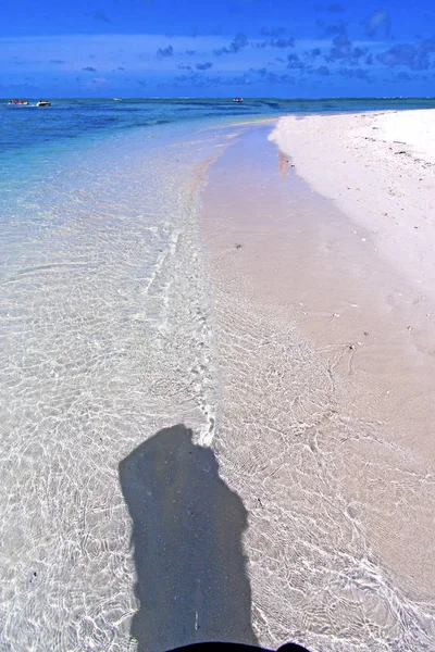Strand ile du cerfs zeewier Indische Oceaan boot — Stockfoto
