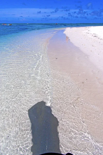 Playa ile du cerfs algas marinas barco océano indio —  Fotos de Stock