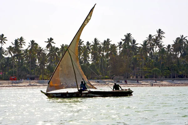 Playa zanzíbar indio vela — Foto de Stock