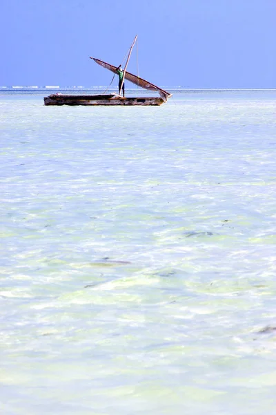 Beach   in zanzibar      sand isle  sky  and sailing — Stock Photo, Image