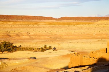 Hill Afrika'da  