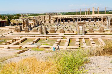 İran persepolis  