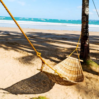    ocean beach yakınındaki bir hamak üzerinden görüntülemek  
