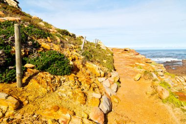   Güney Afrika kıyı şeridi ve doğal park rezerv