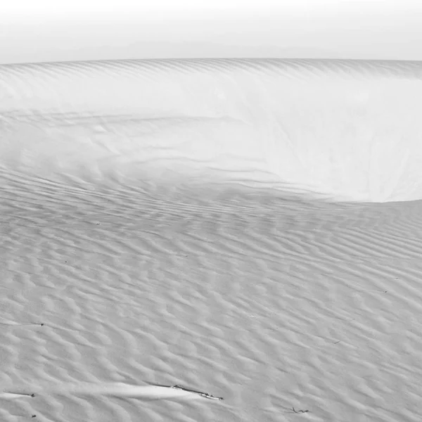 Plan Noir Blanc Dune Sable Dans Désert Oman Frotter Khali — Photo