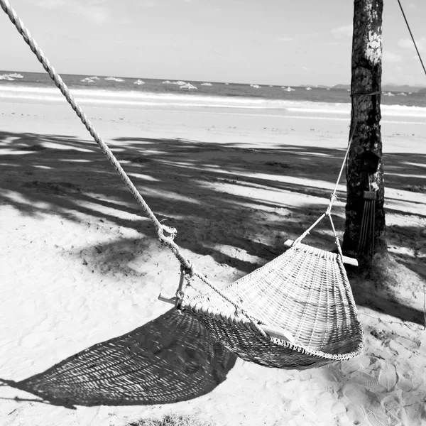 View from an hammock near ocean  beach — Stock Photo, Image