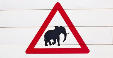   Güney Afrika'da fil işareti kapatmak 