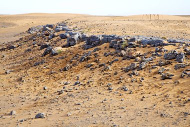  eski fosil morocco Sahara 