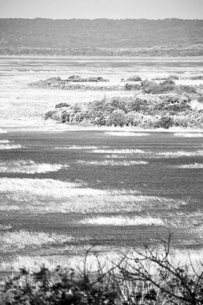 En Afrique du Sud étang lac réserve naturelle et buisson — Photo