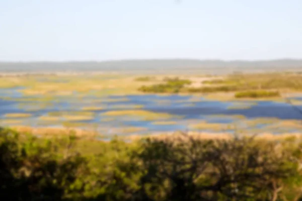 En Afrique du Sud étang lac réserve naturelle et buisson — Photo