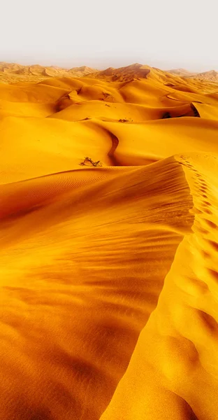 In oman old desert rub al khali the empty quarter and outdoor  s — Stock Photo, Image