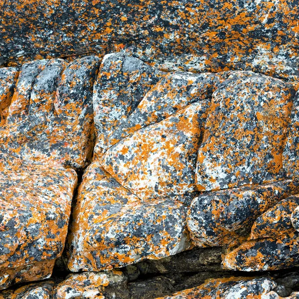 Primer plano de la línea de costa de piedra abstracta — Foto de Stock