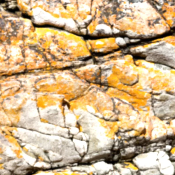 Detailní záběr na pobřeží kámen abstraktní — Stock fotografie
