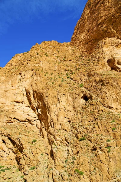 En todra africa marocco la montagne atlas — Photo