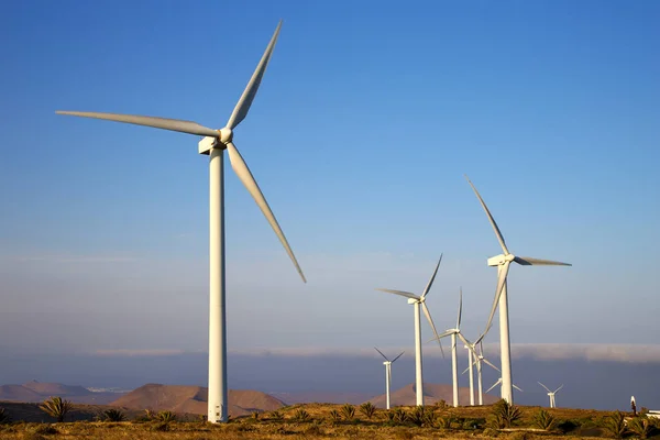 Isle of lanzarote    wind turbines and  sky — Stock Photo, Image