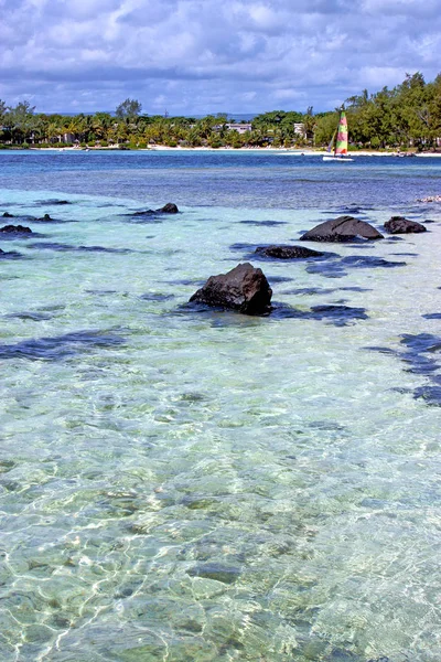 Laguna spiaggia alghe persone — Foto Stock