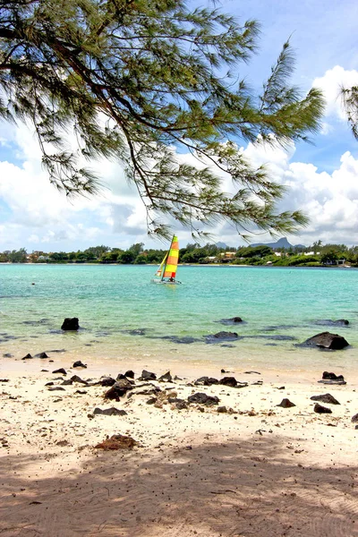 Lagoa praia algas vela — Fotografia de Stock