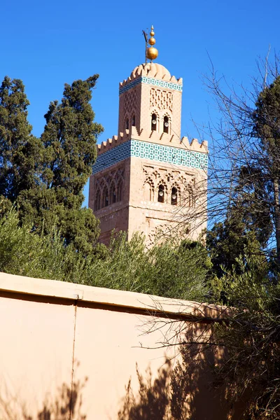 Moslim het symbool van de geschiedenis in Marokko boom — Stockfoto