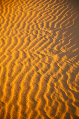 kahverengi kumul Fas çöl 