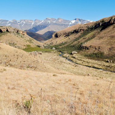   Güney Afrika ıssızlık vadisinde 