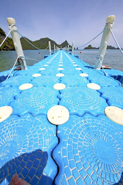 Plastic pier   of green lagoon  thailand kho phangan   bay — Stock Photo, Image