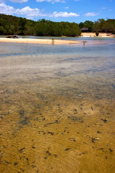 Stagno fiume laguna blu e cespuglio madagvania iranja — Foto Stock