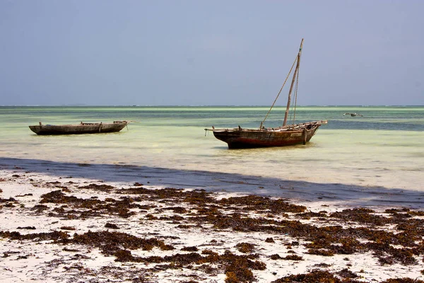 Relax    africa coastline boat pirague blue lagoon — Stock Photo, Image