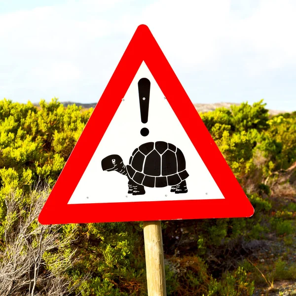 Na África do Sul perto do sinal de tartaruga — Fotografia de Stock