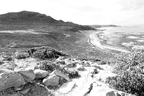 In south africa coastline  and natural park reserve — Stock Photo, Image