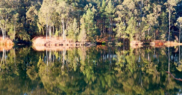 The pound lake and   tree reflection in water — Stock Photo, Image