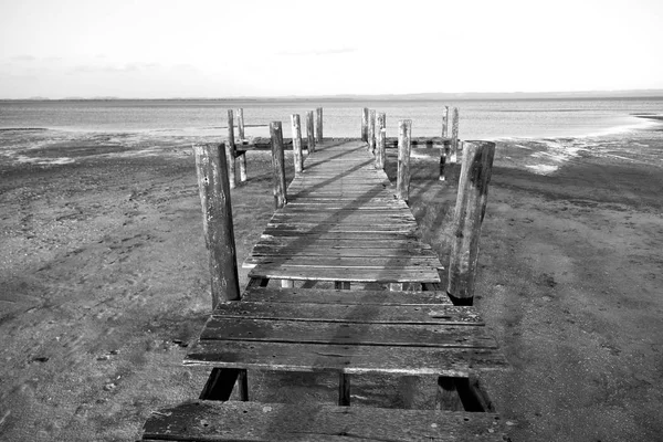 En la reserva natural y muelle de Sudáfrica — Foto de Stock