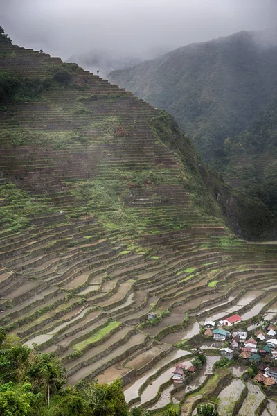 Campo terrazza per la coltivazione del riso — Foto Stock