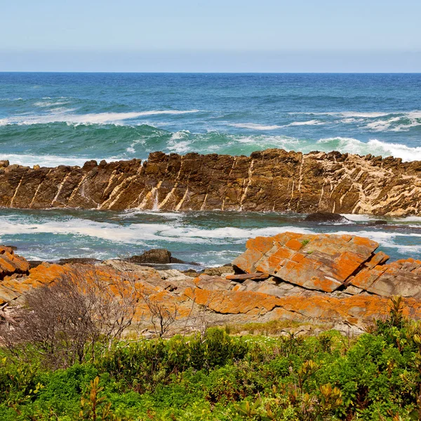 In south africa   sky  ocean       reserve — Stock Photo, Image