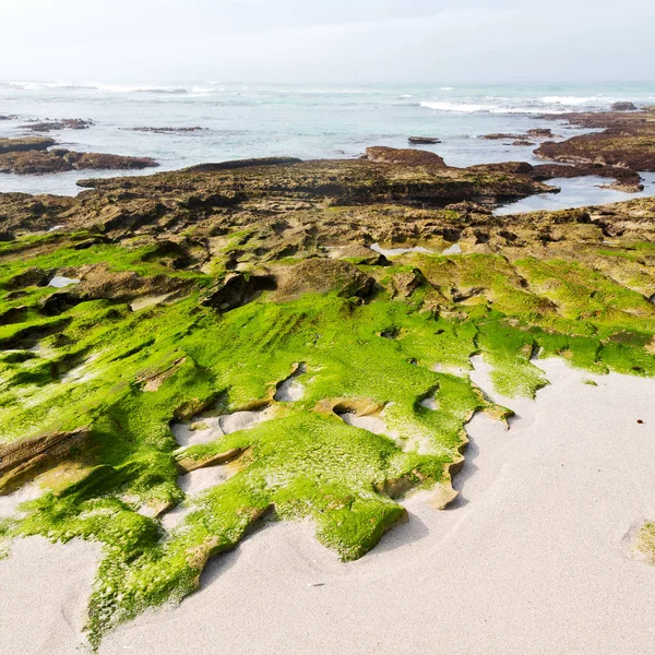 En Sudáfrica cielo reserva oceánica — Foto de Stock