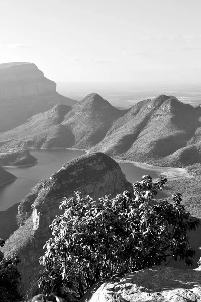 In Sud Africa fiume canyon impianto e acqua — Foto Stock