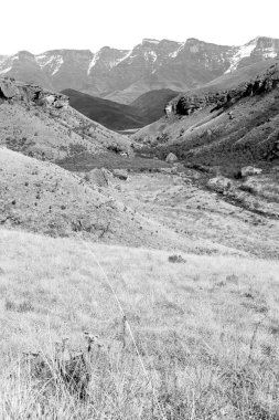 Güney Afrika 'nın ıssız vadisinde bulanık. Kirli yol taşı ağacı ve gökyüzü.