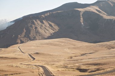 Güney Afrika 'nın ıssız vadisinde bulanık. Kirli yol taşı ağacı ve gökyüzü.