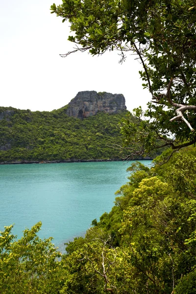 Kustlijn Van Een Groene Lagune Boom Zuid Chinese Zee Thailand — Stockfoto