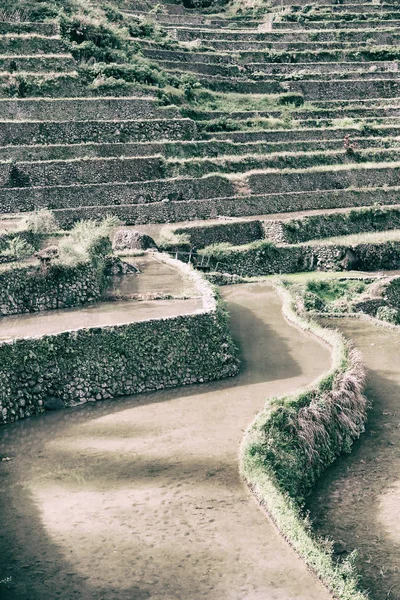 Borrão Campo Terraço Filipinas Para Coultivation Arroz Site Unesco Banaue — Fotografia de Stock