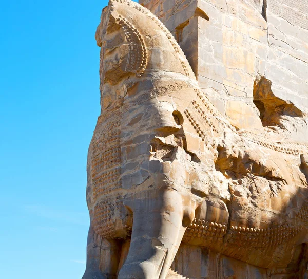 En iran persepolis — Foto de Stock