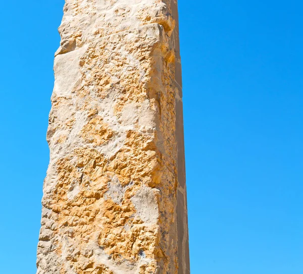 In iran          persepolis — Stock Photo, Image