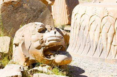 İran persepolis