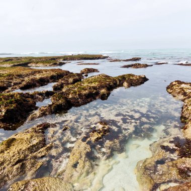  Güney Afrika gökyüzü okyanus yedek olarak