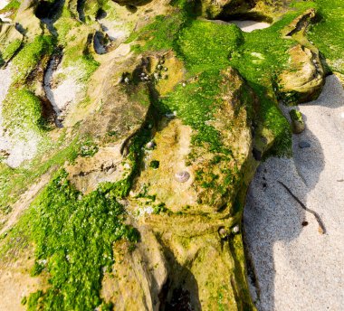  Güney Afrika gökyüzü okyanus yedek olarak