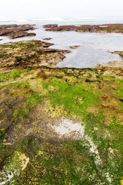  Güney Afrika gökyüzü okyanus yedek olarak